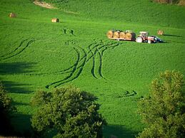 Agriturismo Casa Greppo - Il Mandorlo