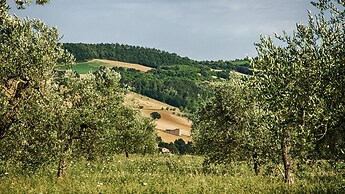 Agriturismo Casa Greppo - Il Mandorlo