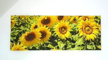 Ein Bett im Norden Nr. 10