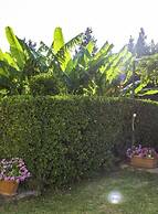 Miltiadis Apartments