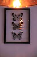 Old Lisbon - Graça Overview Point