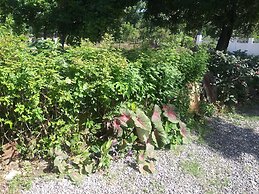 Tranquility Guest House