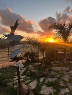 B&B Polvere Di Stelle