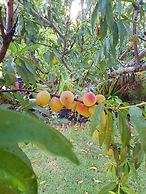 Bermuda Connections Guest House