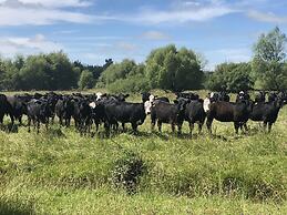 Pahau Downs High Quality Farmstay