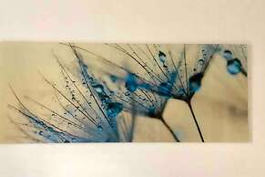 Blueberry Living City Apartment