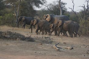 The Wild Blue Lodge SAFARI & SPA