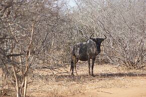 The Wild Blue Lodge SAFARI & SPA