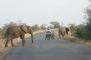 The Wild Blue Lodge SAFARI & SPA