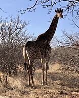 The Wild Blue Lodge SAFARI & SPA