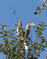 The Wild Blue Lodge SAFARI & SPA