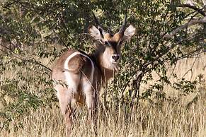 The Wild Blue Lodge SAFARI & SPA