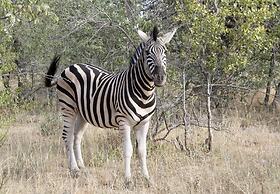 The Wild Blue Lodge SAFARI & SPA