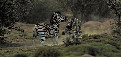The Wild Blue Lodge SAFARI & SPA