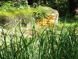 Spreewald Pension Spreeaue