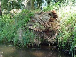 Spreewald Pension Spreeaue