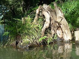 Spreewald Pension Spreeaue