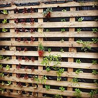 Albergue Albor - Hostel