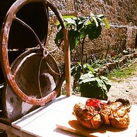 Albergue Albor - Hostel