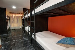 Mad Monkey Phnom Penh - Hostel