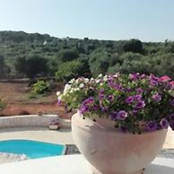 Trullolive & TrulloLimone