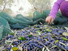 Trullolive & TrulloLimone