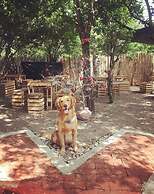 Hospedería Sol Del Desierto - Hostel