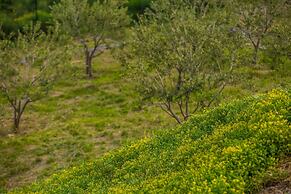 Luxury Villa Grand View