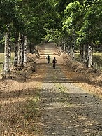 Malekus Mountain Lodge