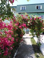 Vishnevui Rai Guest House