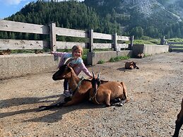 Chalets und Apartments Hauserhof