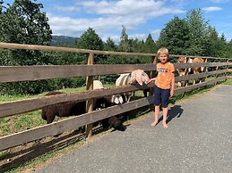 Chalets und Apartments Hauserhof