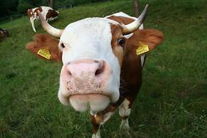 Chalets und Apartments Hauserhof