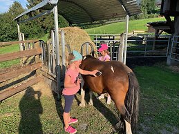 Chalets und Apartments Hauserhof