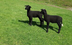 Chalets und Apartments Hauserhof