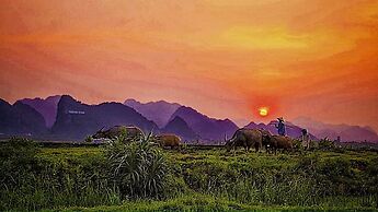 Karst Villas Phong Nha