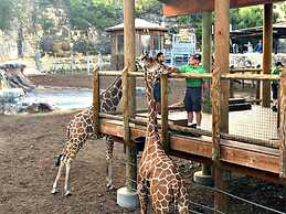 Econo Inn Lackland AFB Seaworld