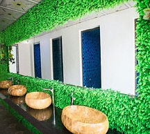 Ha Giang Moments Homestay - Hostel