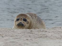 Frische Brise