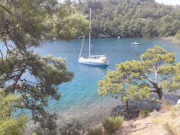 Lycian Sail
