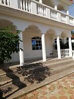 Salhiya Lodge - Hostel