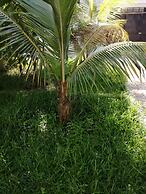 Salhiya Lodge - Hostel