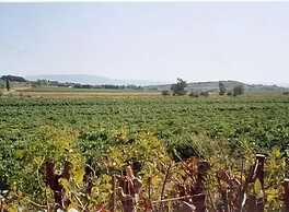 Domaine du Siestou Wine Resort & Spa