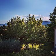 La Fonte di Montebuono