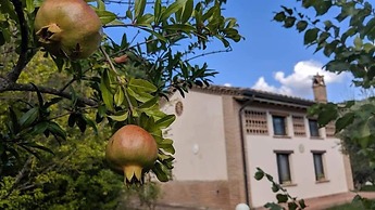 La Fonte di Montebuono