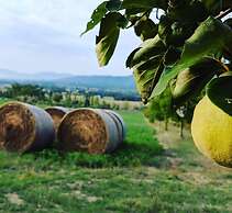 La Fonte di Montebuono