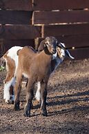 Hotel de campo granja el aromo