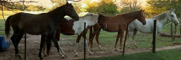 Hotel de campo granja el aromo