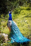 Hotel de campo granja el aromo