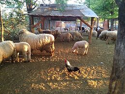 Hotel de campo granja el aromo